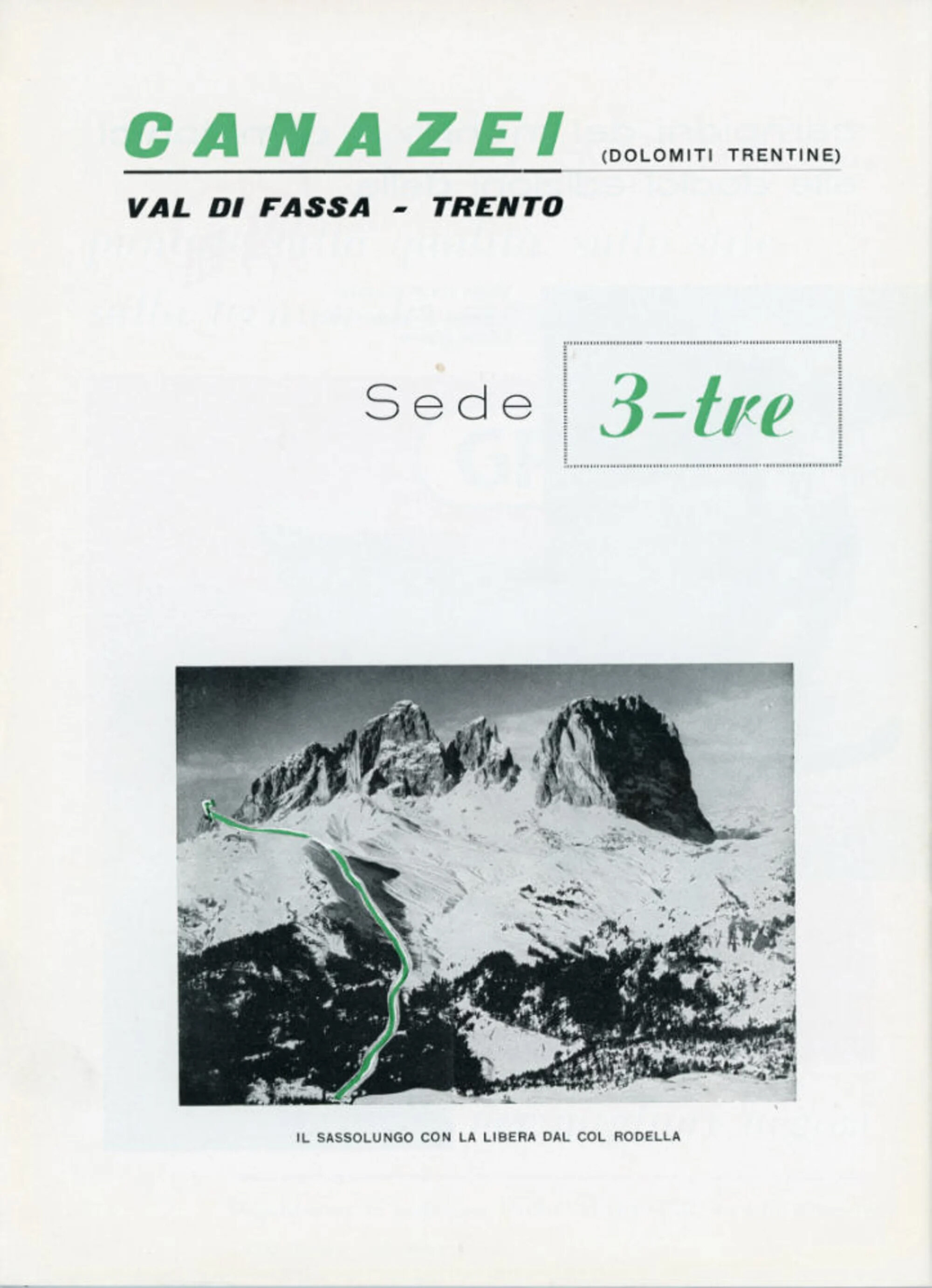 1955 1