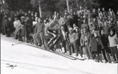 1966